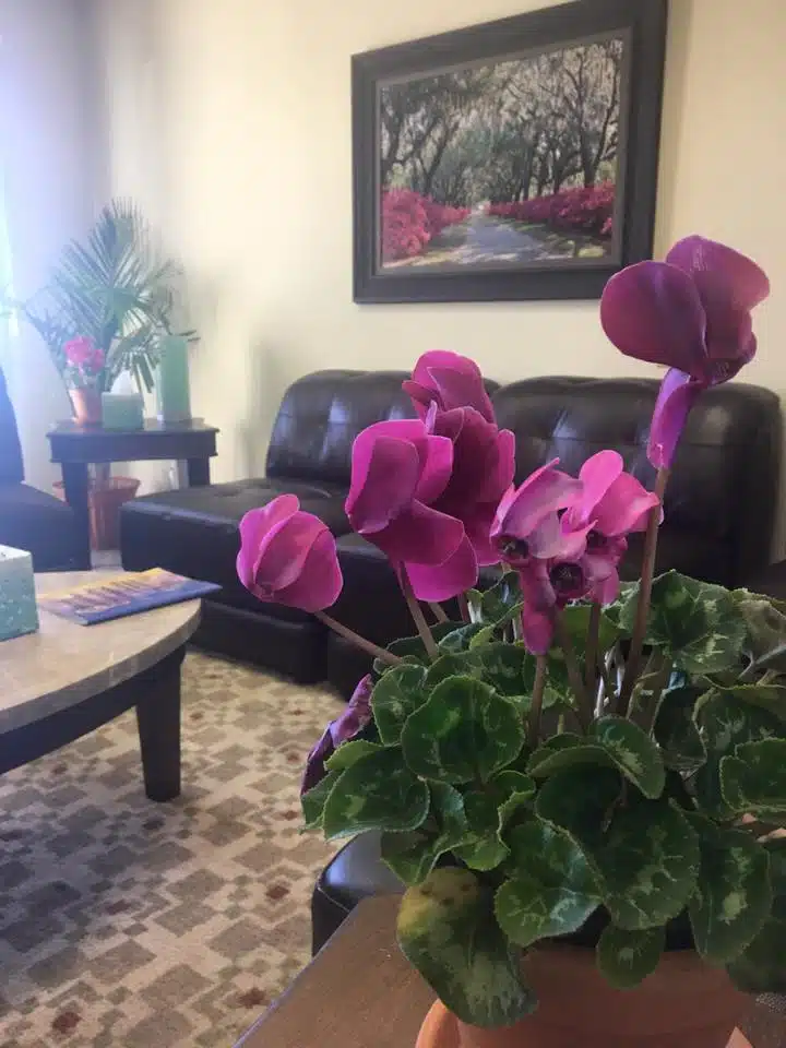 La Jolla Healing Center - Preview